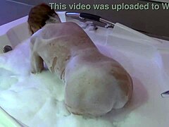 Муж под душем лижет и трахает зрелую жену